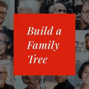 Lineago - Genealogy WordPress Theme