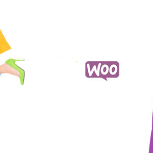 WooCommerce Checkout Add-Ons