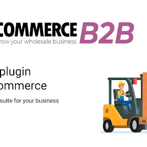 WooCommerce B2B 3.3.5