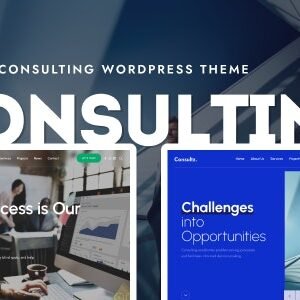 Consultz - Business Consulting