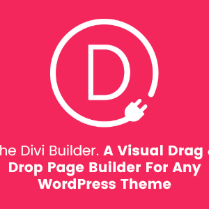 Divi Builder â€“ A Visual Drag  Drop Page Builder + API Key