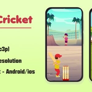 Gully Cricket (HTML5 Game + Construct 3)