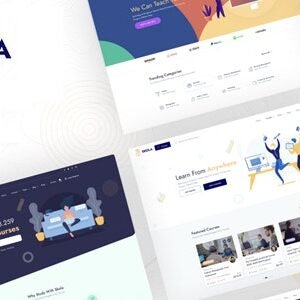 Skola - LMS Online Courses WordPress Theme 1.0.30